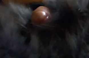 XXX येत घेतले एसआयपी पांढरे चमकदार मद्य, एक ठळक दाट तपकिरी रंगाचे केस मित्र शोषून घेणे शक्तिशाली काळा बूल्ला