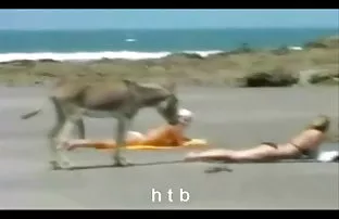 XXX घाबरत नाही, मोठा भाऊ आणि ottarabanil त्याची लज्जतदार मैत्रीण