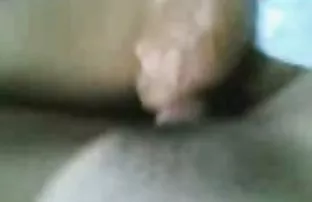 XXX दोन beauties सेवा गर्दी stallions मजबूत सदस्य