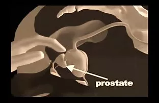 XXX आला भेट इतर धावपटू आणि करण्याची परवानगी नाही, झोप तो moans