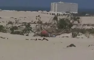 XXX Sultry व्यक्ती गुंतलेली आहे गुदद्वारासंबंधीचा लिंग तिच्या प्रियकर सह पूल